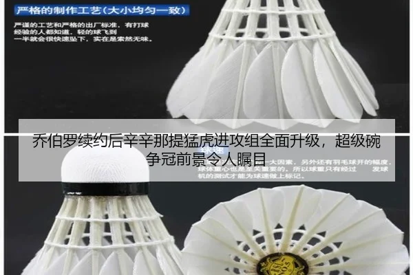 qiao-bo-luo-xu-yue-hou-xin-xin-na-ti-meng-hu-jin-gong-zu-quan-mian-sheng-ji-chao-ji-wan-zheng-guan-qian-jing-ling-ren-2-604.jpg